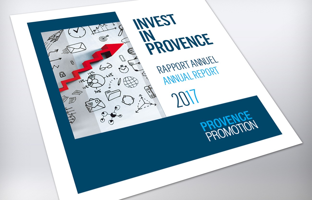 Rapport annuel 2017