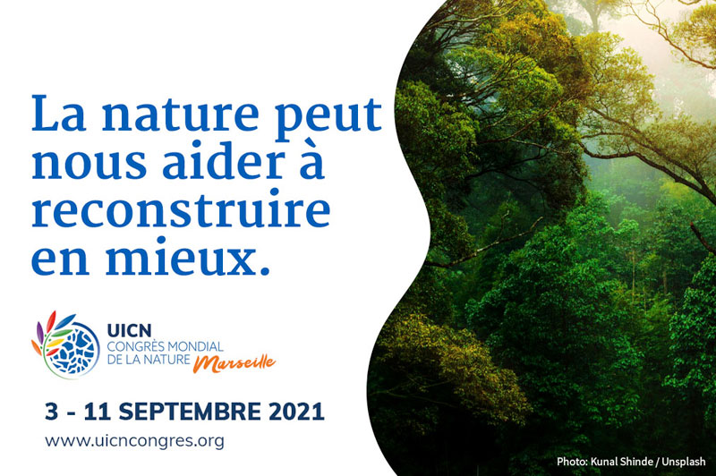 Marseille accueille le Congrès mondial de la nature de l’UICN